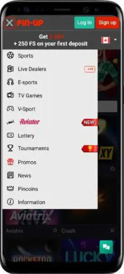 Pinup Casino mobile app, mobile view