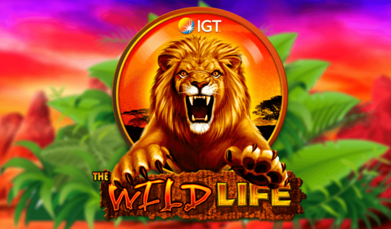 Wild life slot in Pin up casino in Canada
